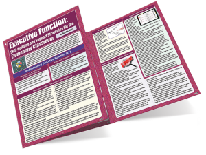 Executive Function: Skill-Building Support Strategies for the Elementary Classroom